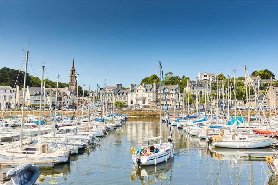 Le Nid Briochin Studio Au Coeur De Saint-Brieuc Exteriér fotografie